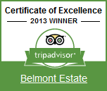 Trip Advisor 2013