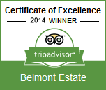 Trip Advisor 2014